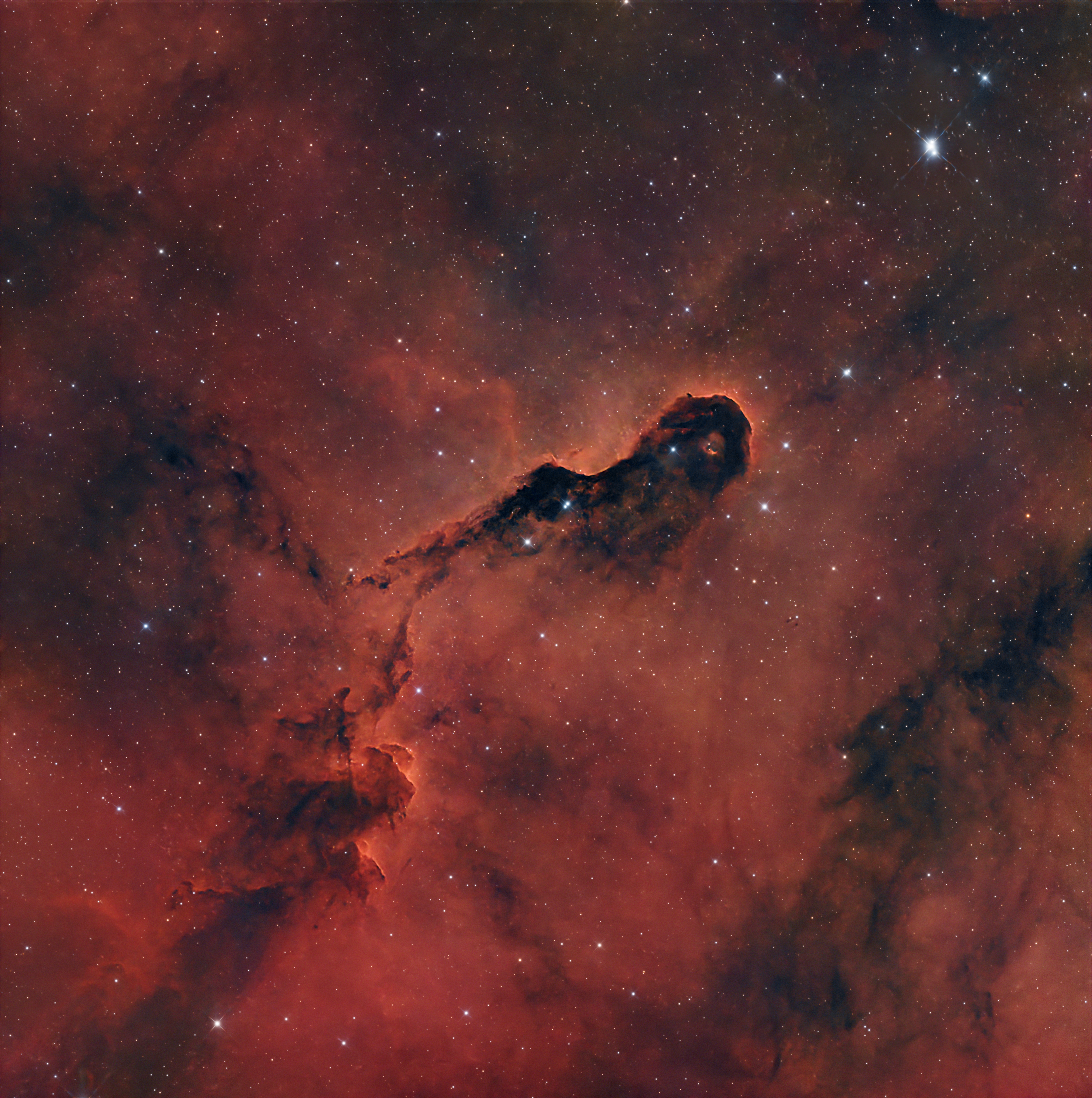 The Elephant Trunk Nebula (IC 1396)