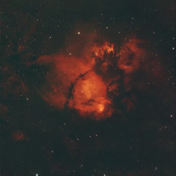 IC 1795 — Fish Head