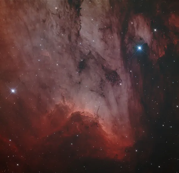 IC 5070 — Pelican Nebula