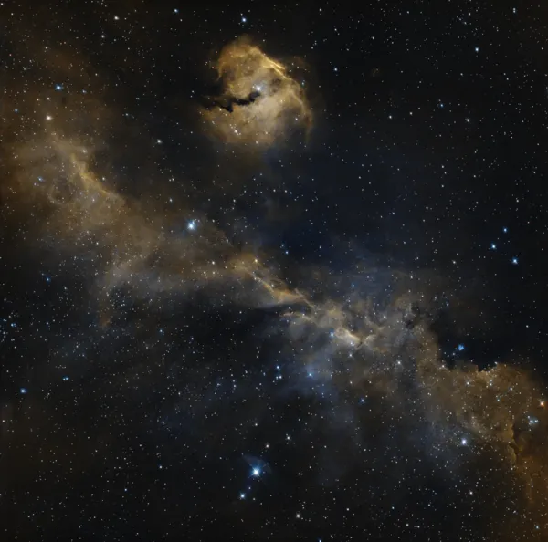 IC 2177 — Seagull Nebula